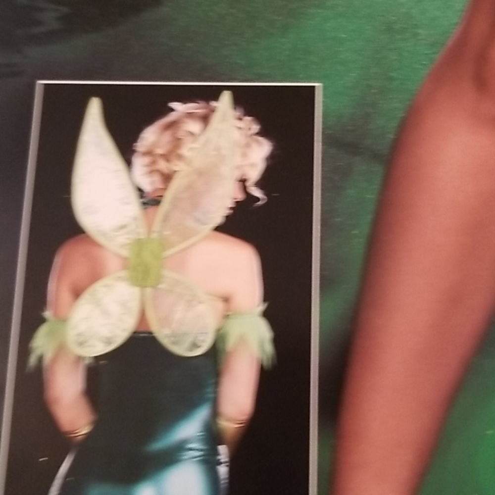 * Adult Large Women's Fairy-Licious Women's Costume Halloween - Picture 3 of 12